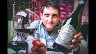 Pasqua Amarone della Valpolicella DOCG  Wine Reviews  Episode 28 [upl. by Oihsoy422]