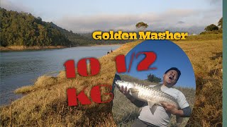 Golden Masher in Doyang River 10 KG [upl. by Gaskill340]