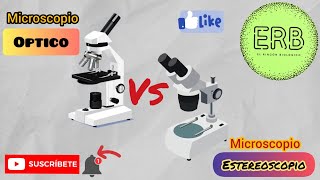 🔬MICROSCOPIO ÓPTICO VS MICROSCOPIO ESTEREOSCOPICO  El rincón biológico💚 [upl. by Merla]