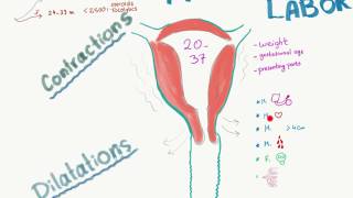 STAGES OF LABORLABOUR  NCLEX REVIEW [upl. by Tedric17]