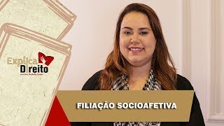 Explica Direito Filiação Socioafetiva  2019 [upl. by Ellenehc716]