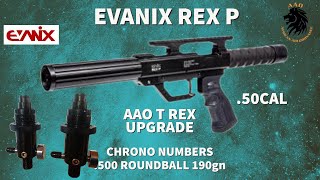 Evanix Rex P 50 AAO T Rex 2020 Super Valve 4500psi 190 gn 500 roundball [upl. by Mcnully]