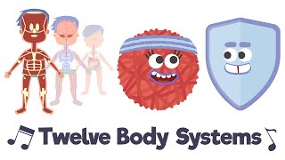 Twelve Body Systems Song [upl. by Noyar]