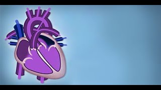 Fetal Circulation by L McCabe  OPENPediatrics [upl. by Esiole316]