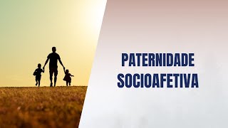 Paternidade socioafetiva [upl. by Ecissej]