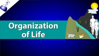 Organization of Life [upl. by Puto]