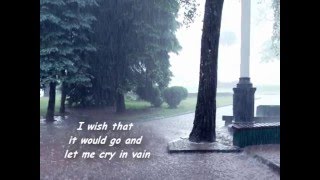 Rhythm of the Rain  Lyrics  The Cascades [upl. by Yrrab]