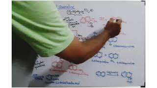 Reactions of Quinoline [upl. by Nreval]