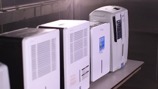 Dehumidifier Buying Guide Interactive Video  Consumer Reports [upl. by Hadeis775]