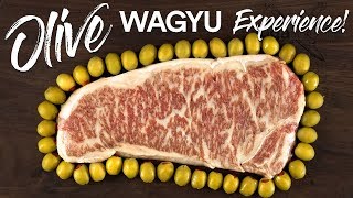 World’s RAREST STEAK Olive Wagyu vs Japanese A5 WAGYU Beef [upl. by Zap]