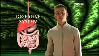 Cell Tissue Organ System Organism  BBC Curriculum Bites [upl. by Chrisy744]