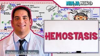 Hematology  Hemostasis Coagulation Cascade [upl. by Telimay]