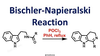 BischlerNapieralski Reaction [upl. by Trainor114]