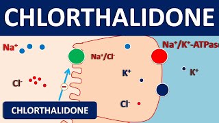 Chlorthalidone 25 mg tablet  Diuretic amp uses [upl. by Revilo959]