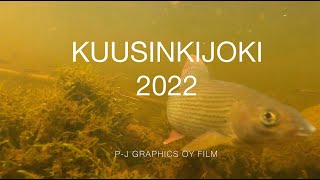 Kuusinkijoki 2022  KUUSAMO [upl. by Aneloc]