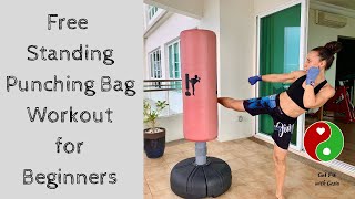 Free Standing Punching Bag Workout for Beginners [upl. by Attenyt232]