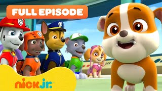 Rubble Joins the PAW Patrol and the Pups Save a Walrus  FULL EPISODES  Nick Jr [upl. by Nage]