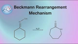 Beckmann Rearrangement Example Mechanism  Organic Chemistry [upl. by Ulysses]