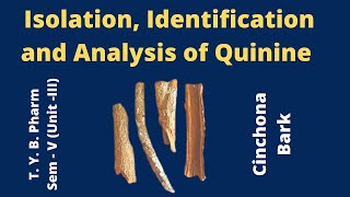 Isolation amp analysis of Quinine Cinchona Bark Pharmacognosy [upl. by Rimaj265]