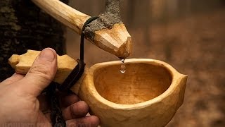 Tapping the Birch  Traditional Way [upl. by Ttereve]