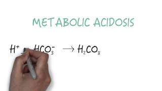 Bicarbonate  The Primary Buffer [upl. by Hasin]