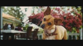 Beverlly Hills Chihuahua Theme Song ¡Im a Chihuahua [upl. by Ludovick]