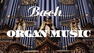 Bach  The Best Organ Music [upl. by Ttej]