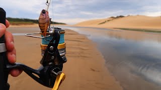 Fishing A Local Estuary New PB [upl. by Eidnew]