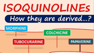 Isoquinoline alkaloids and drugs  How they are derived in plants [upl. by Jessalyn]