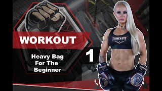 Punch Fit Beginners Heavy Bag Workout 1 [upl. by Yorled470]