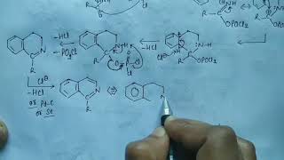 Lecture 13  Isoquinoline preparation and chemical properties [upl. by Yort]