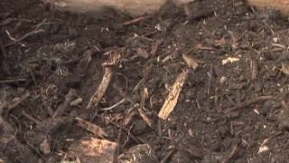 Composting How Long Does it Take [upl. by Ennovyhc942]