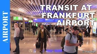 TRANSIT WALK AT FRANKFURT Airport FRA Terminal 1  Connection Flight Transfer Arriving amp Departing [upl. by Eel]