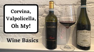 Corvina and Valpolicella  Wine Basics [upl. by Jacy177]