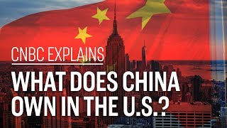 What does China own in the US  CNBC Explains [upl. by Lunsford]