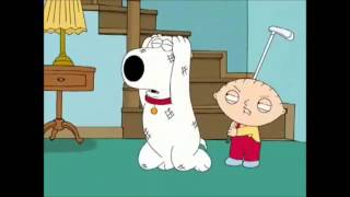 Family Guy  Stewie Griffin  Wheres my money [upl. by Oag]