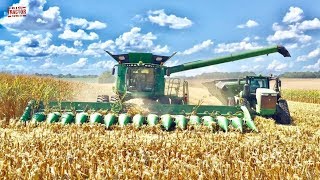 Corn Harvest 16 Rows at a Time John Deere S690 [upl. by Windsor479]